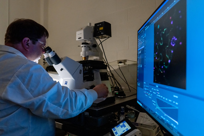 Scientist using the Zeiss 980 microscope
