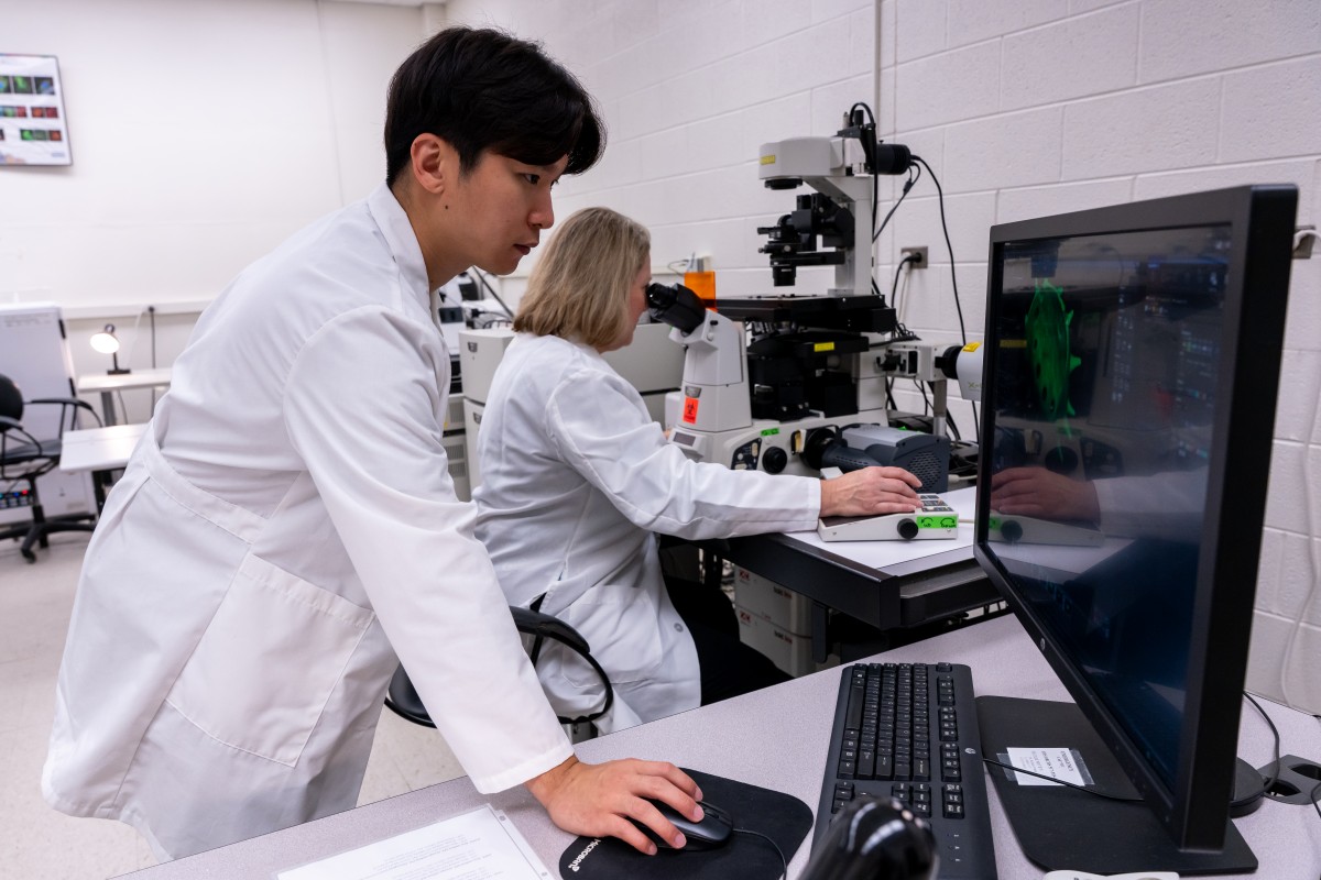 student working with Dr. Frame on the confocal microscope