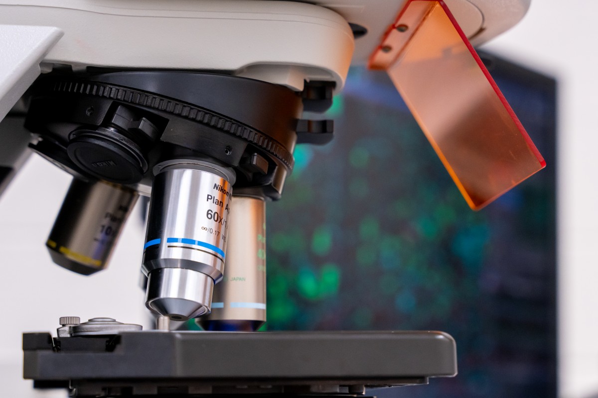 image of microscope objectives