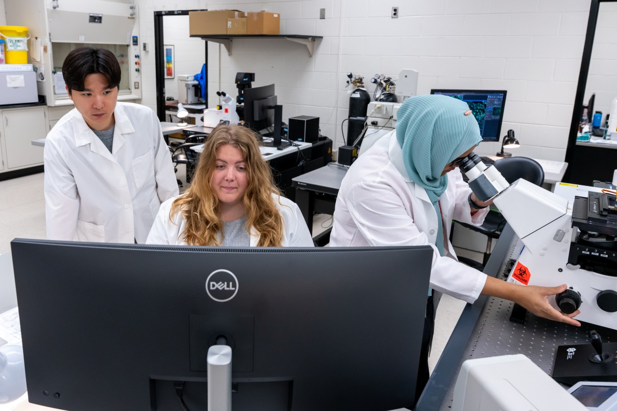 students working together on the confocal microscope