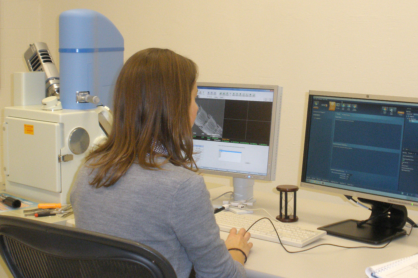 The JEOL 6610LV Scanning Electron Microscope at the Michigan State University Center for Advanced Microscopy