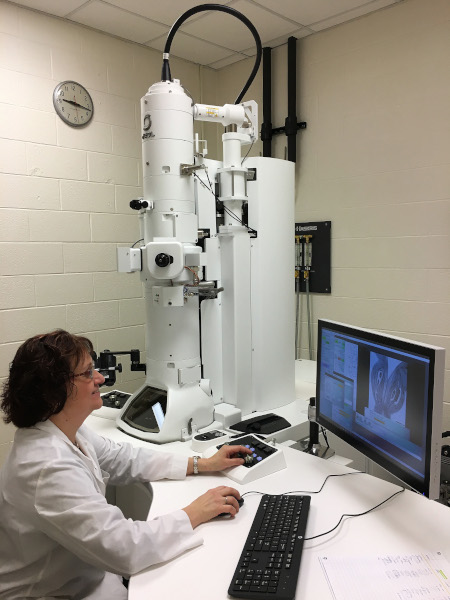 Dr. Alicia Withrow operating the JEOL 1400 Flash TEM